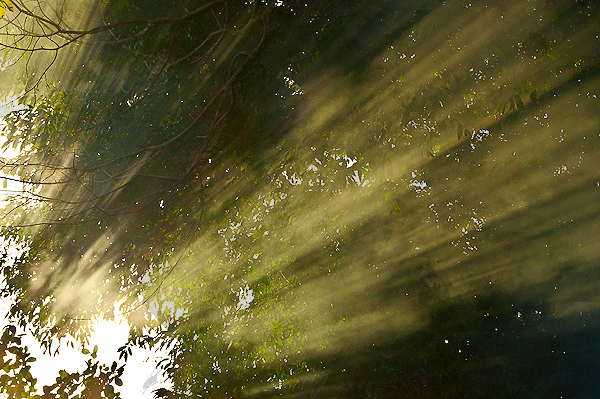Sun Rays Quotes