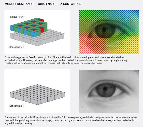 Digital Camera Image Sensor Technology Guide | ePHOTOzine
