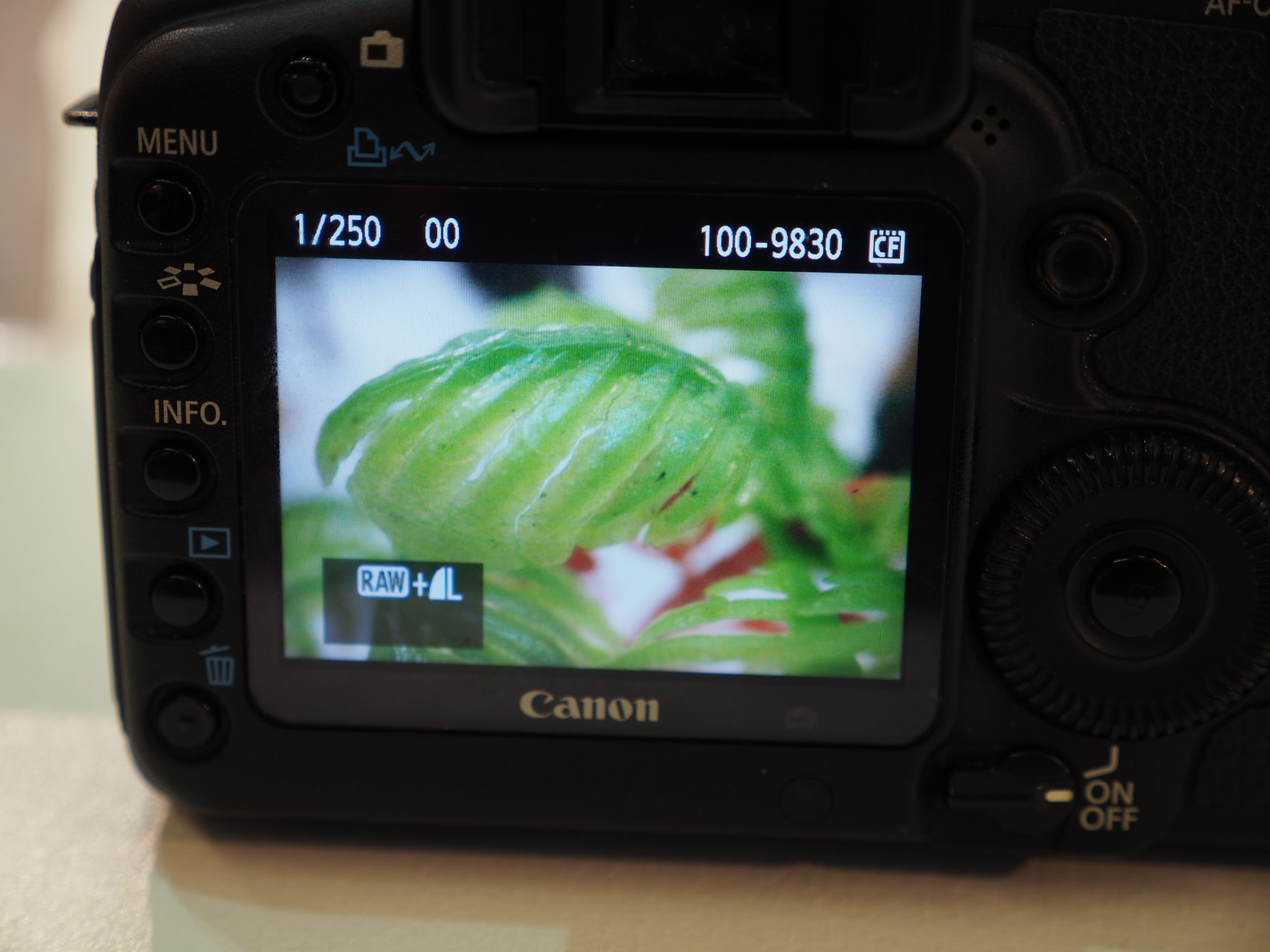 Laowa 24mm f/14 Relay 2x Macro Lens With Unusual Shape Announced ...