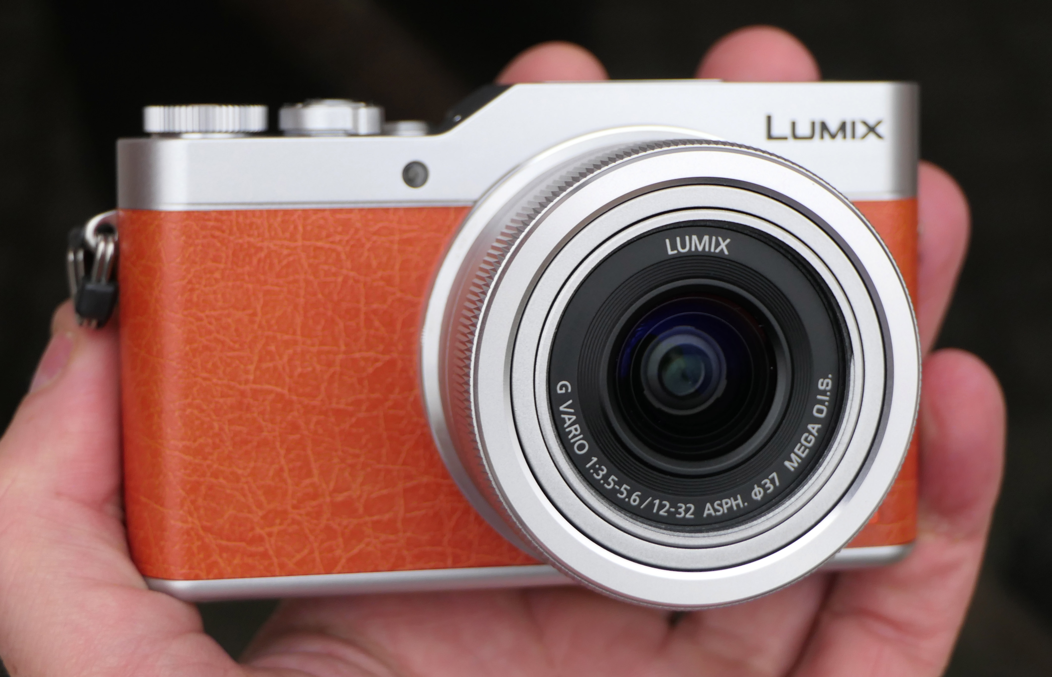 Recreatie meditatie Roman Panasonic Lumix GX800 Looks Stylish And Offers On-Screen Controls For  Perfecting Selfies | ePHOTOzine