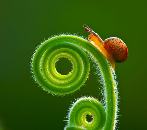 https://www.ephotozine.com/articles/sony-world-photography-awards-2010-13031/images/E-Zhang.jpg