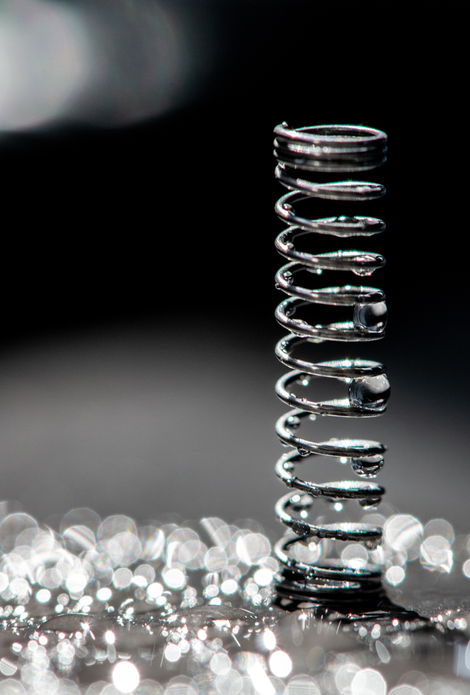 Top Macro Photography Tips Techniques You Can Try At Home EPHOTOzine