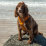 nstewart Avatar